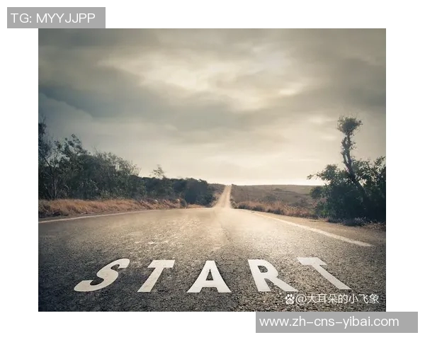 南特足球俱乐部的辉煌历程与未来展望：一支球队的梦想与坚持